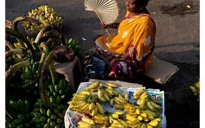 Retail inflation rises to 5.49%, highest in CY24; WPI inflation up as well