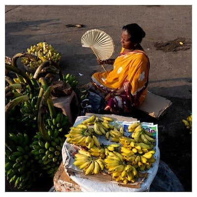 Retail inflation rises to 5.49%, highest in CY24; WPI inflation up as well