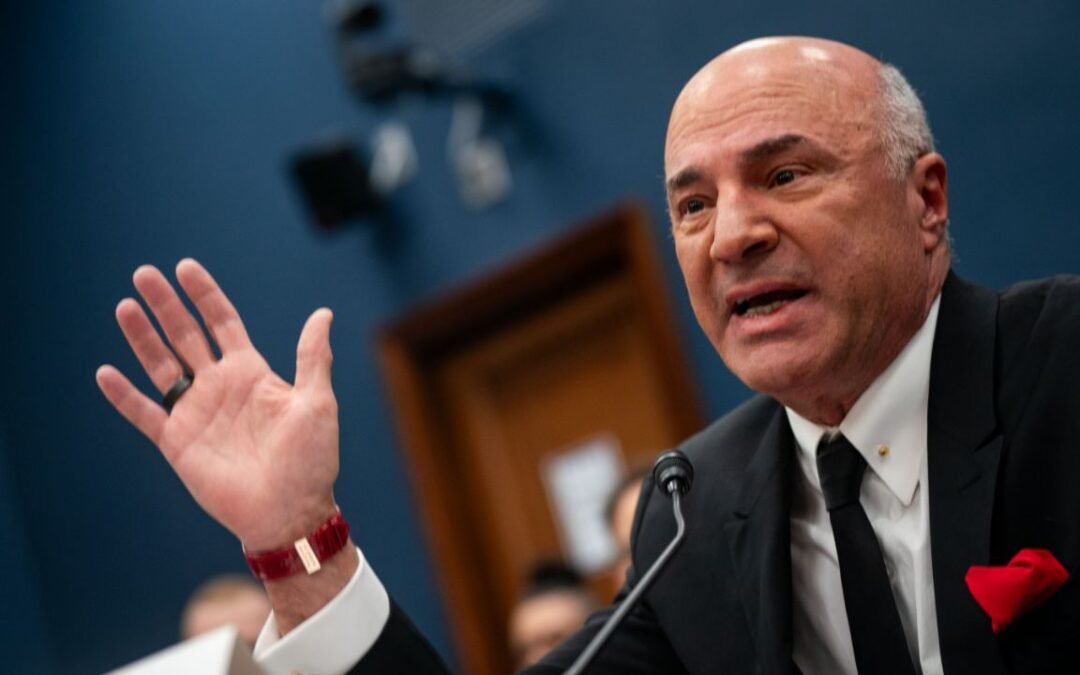 Kevin O’Leary endorses Elon Musk to lead government efficiency commission: ‘Release the hounds’